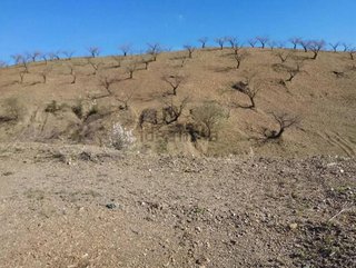 Terreno en venta en Puerto Lumbreras