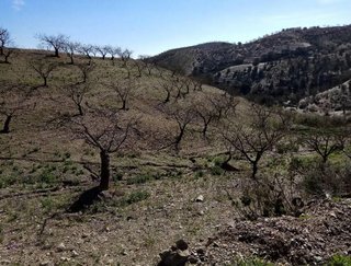 Terreno en venta en Puerto Lumbreras