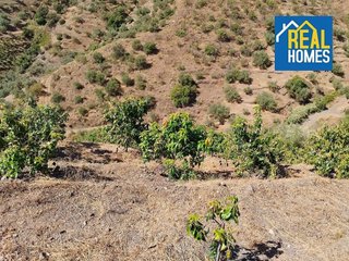 Terreno en venta en Sayalonga