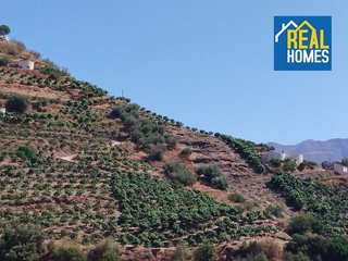 Terreno en venta en Sayalonga