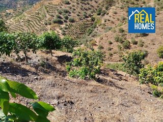 Terreno en venta en Sayalonga