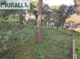 Solar en venta en Mas Mora - Sant Daniel en Tordera