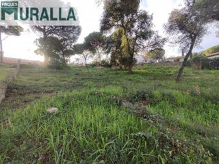 Solar en venta en Mas Mora - Sant Daniel en Tordera