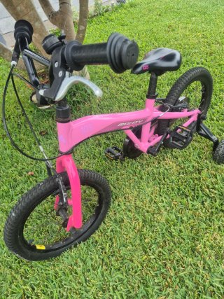 Bicicleta Monty 3