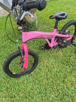 Bicicleta Monty 3