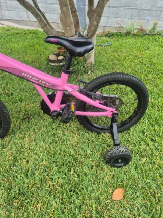 Bicicleta Monty 3