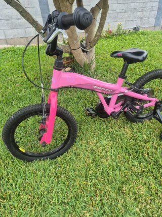 Bicicleta Monty 3