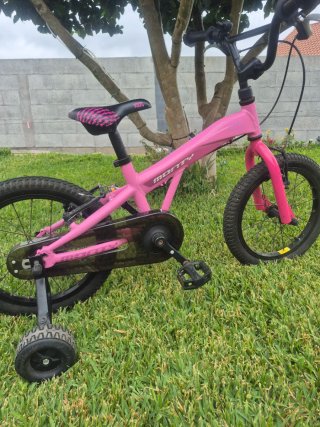 Bicicleta Monty 3