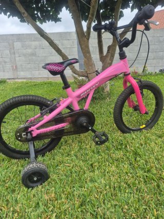 Bicicleta Monty 3
