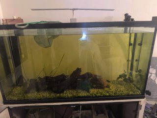 Acuario 100L cristal y plástico