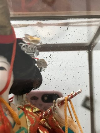 Muñeca oriental anrigua en vitrina