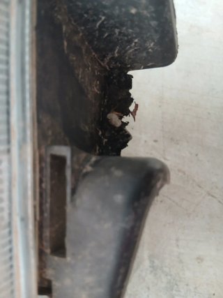 Faros de saxo fase 1 A REPARAR