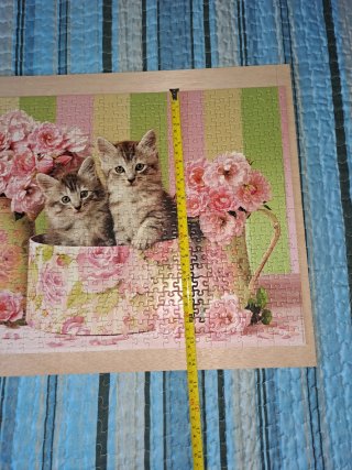 Puzzle 500 piezas Gatitos y Flores