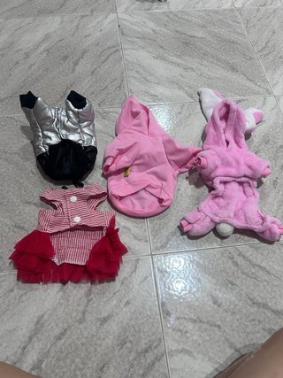 Ropa para perros y accesorios