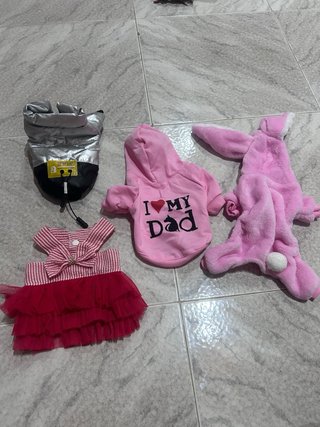 Ropa para perros y accesorios