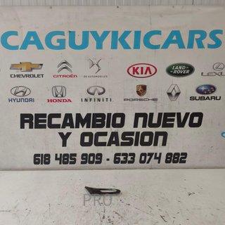 EMBELLECEDOR PUERTA DELANTERA DERECHA CITROEN NUEVO 9119C7