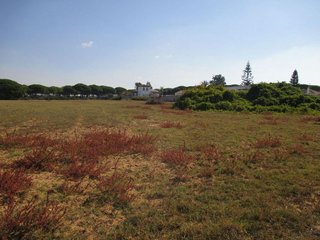 Terreno en venta en Conil en Conil de la Frontera