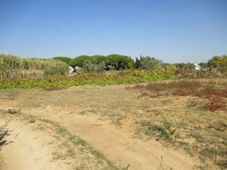 Terreno en venta en Conil en Conil de la Frontera
