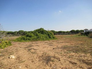 Terreno en venta en Conil en Conil de la Frontera