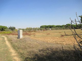 Terreno en venta en Conil en Conil de la Frontera