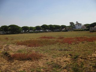 Terreno en venta en Conil en Conil de la Frontera
