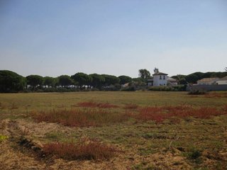 Terreno en venta en Conil en Conil de la Frontera