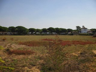 Terreno en venta en Conil en Conil de la Frontera