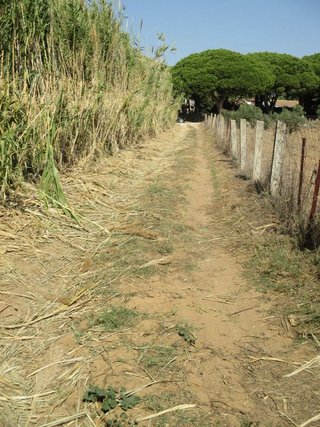 Terreno en venta en Conil en Conil de la Frontera