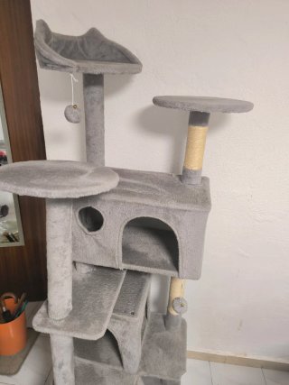 Casa rascador para gatos