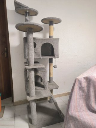 Casa rascador para gatos