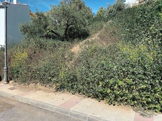 Solar en venta en Álora