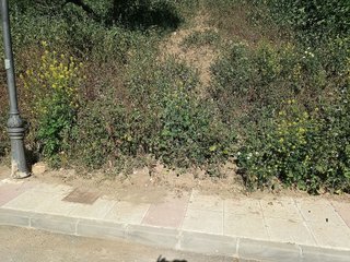Solar en venta en Álora
