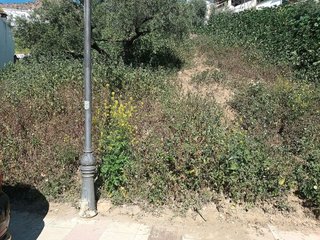 Solar en venta en Álora