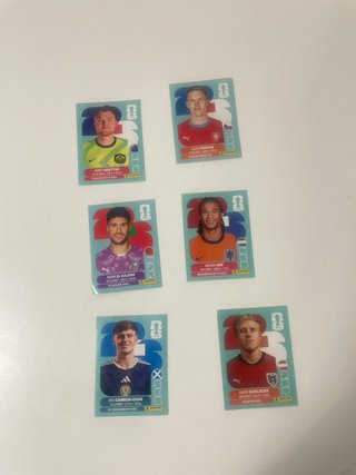 29 cromos + Mbappe Extra Sticker Plata