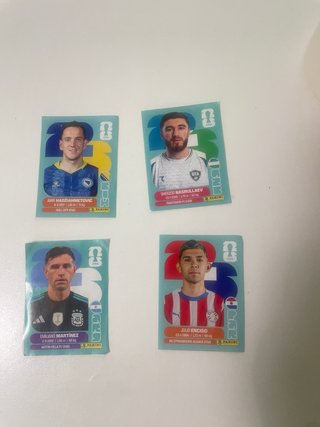 29 cromos + Mbappe Extra Sticker Plata