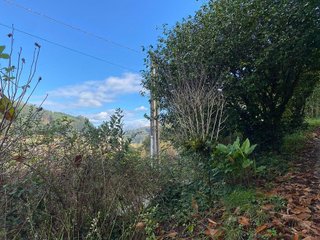 Chalet en venta en Caldas de Reis