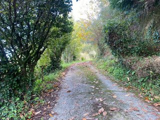 Chalet en venta en Caldas de Reis