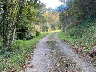 Chalet en venta en Caldas de Reis