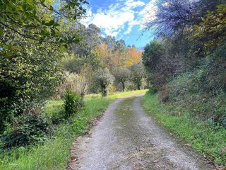 Chalet en venta en Caldas de Reis