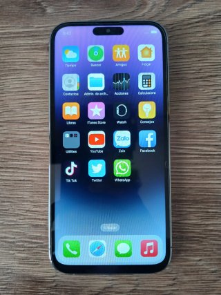 iPhone 14 Pro Max (importante leggere la descrizione)