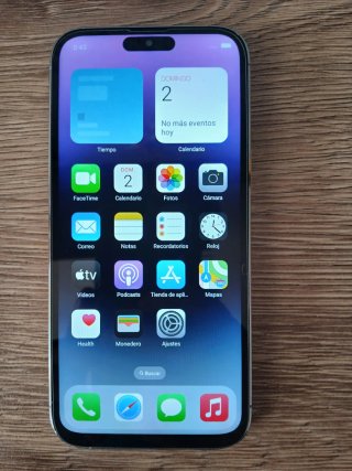 iPhone 14 Pro Max (importante leggere la descrizione)