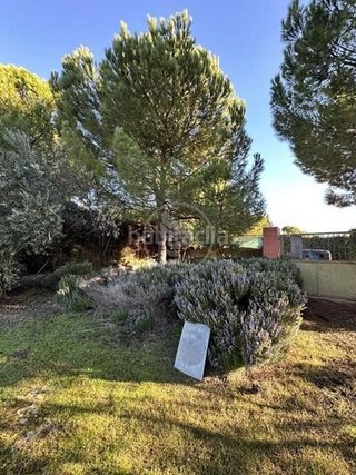 Terreno en venta en San Gonzalo en Linares