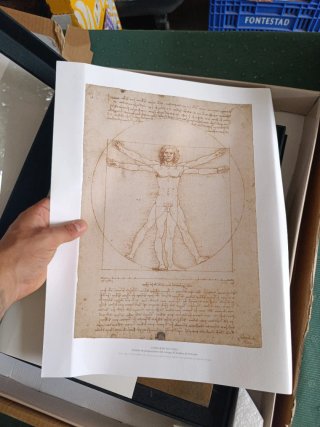 Libro Leonardo da Vinci 500