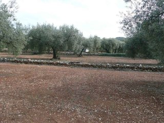 Casa en venta en Ulldecona