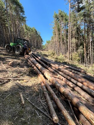 Servicios  forestales