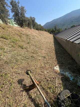 Servicios  forestales