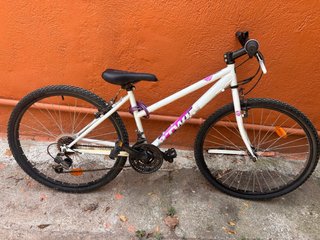 Bicicleta Blanca