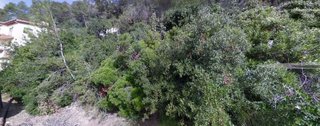 Solar en venta en Vallirana