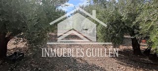 Chalet en venta en Berja