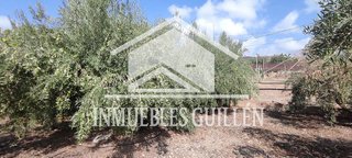 Chalet en venta en Berja